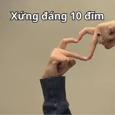 10 điểm meme 18