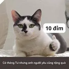 10 điểm meme 36