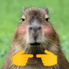 capybara meme 1