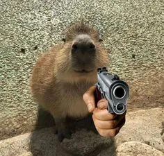 capybara meme 19