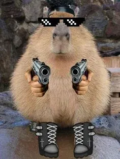 capybara meme 17