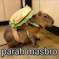 capybara meme 18