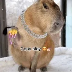 capybara meme 31