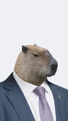 capybara meme 37