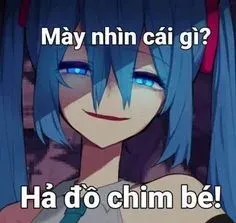 meme chửi 10