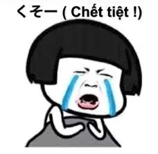 meme chửi 28