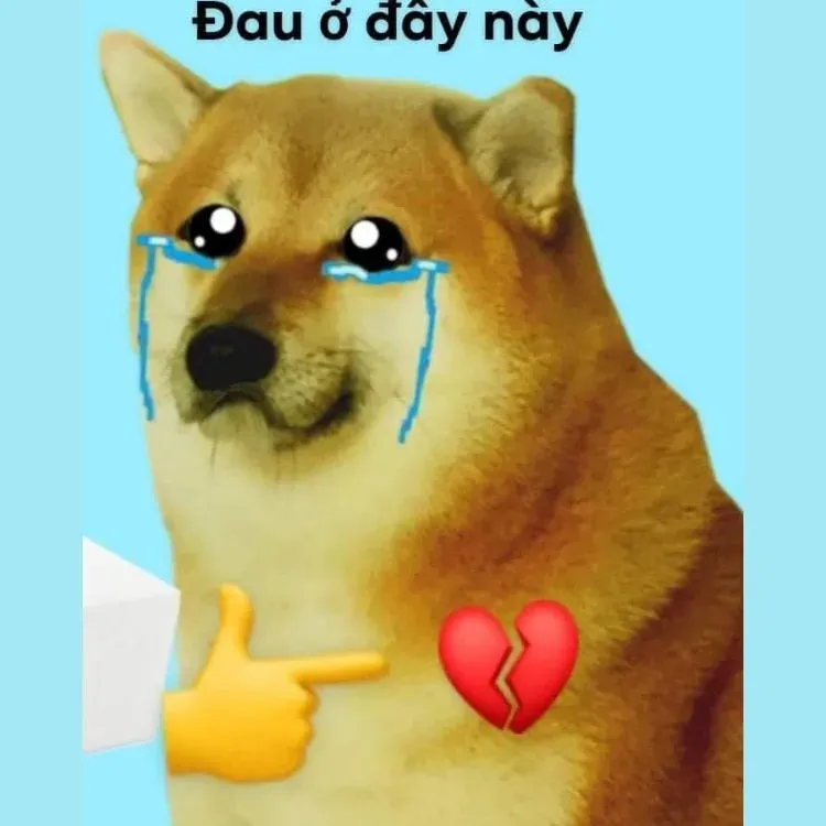 meme đau ở đây này 2