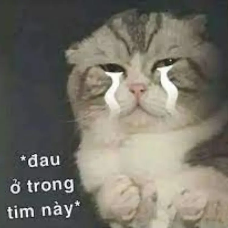 meme đau ở đây này 10