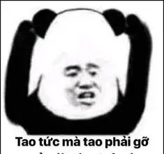 meme gấu trúc 2