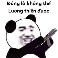 meme gấu trúc 3