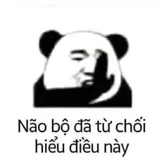 meme gấu trúc 14