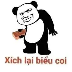 meme gấu trúc 19