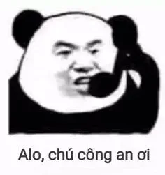 meme gấu trúc 22