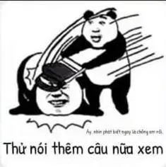 meme gấu trúc 30