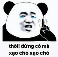 meme gấu trúc 37