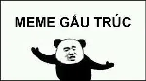 meme gấu trúc 38