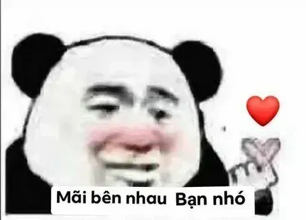 meme hài 31