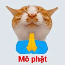 meme mô phật 13