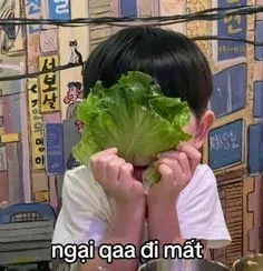 meme ngại 1