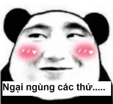 meme ngại 7