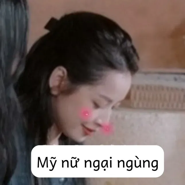 meme ngại 14