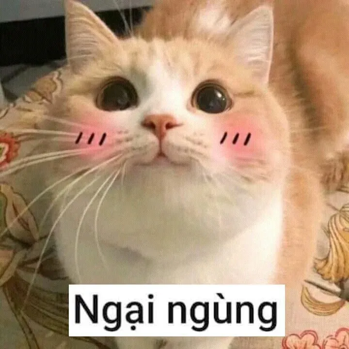 meme ngại 20