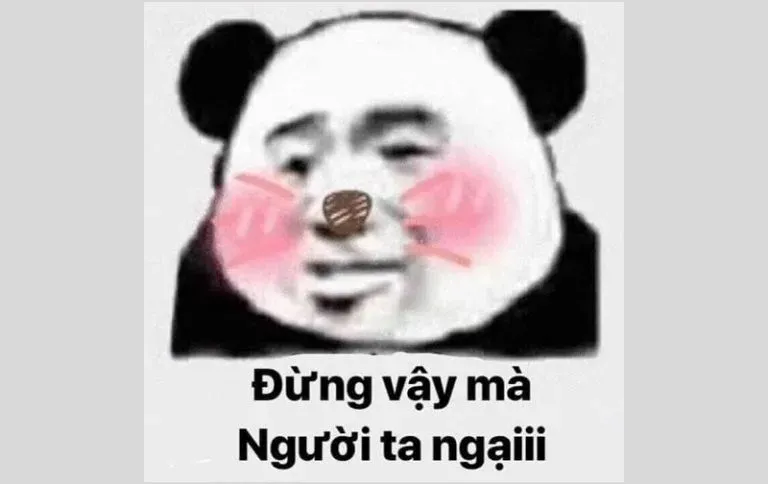 meme ngại 22