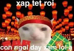 meme tết 3