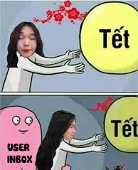 meme tết 29