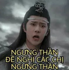 meme trung quốc 13