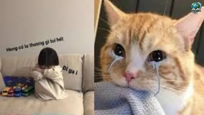 Bộ sưu tập ảnh meme dỗi dễ thương và hài hước để chia sẻ