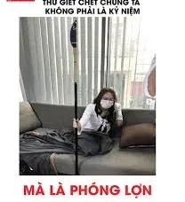 phóng lợn meme 14