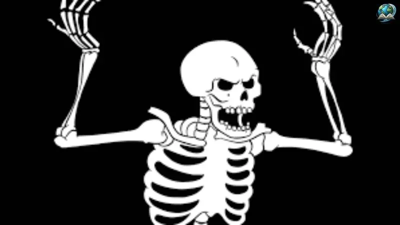 Tổng hợp ảnh skeleton meme hài hước không thể bỏ lỡ