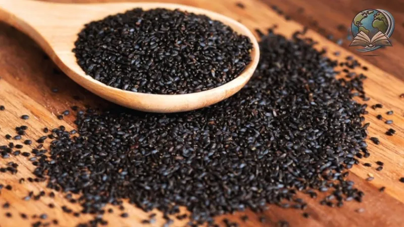 Hạt é - Tác hại nào có thể gây ảnh hưởng đến bạn?
