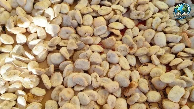 Sự thật đằng sau tác hại của hạt sang đối với sức khỏe