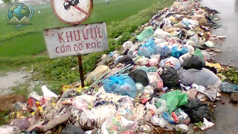 Những tác hại nguy hiểm của xả rác bừa bãi đến hệ sinh thái