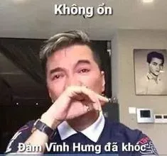 đàm vĩnh hưng meme 12