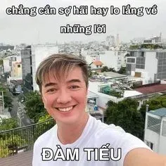 đàm vĩnh hưng meme 22