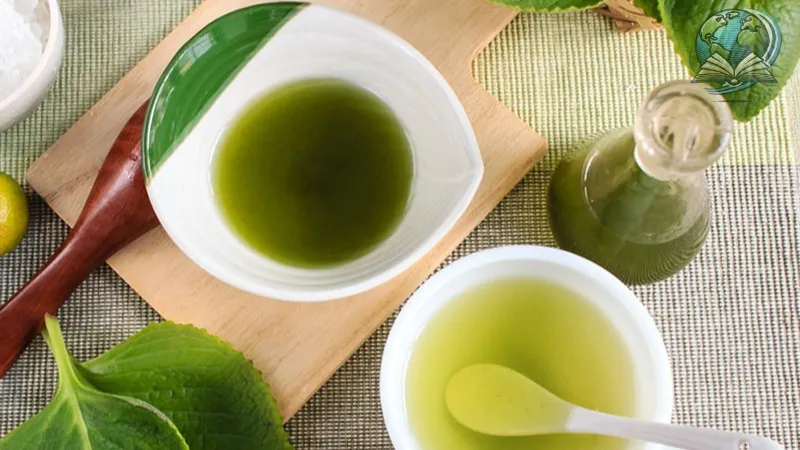 Cách làm đẹp từ lá húng chanh đơn giản và hiệu quả tại nhà