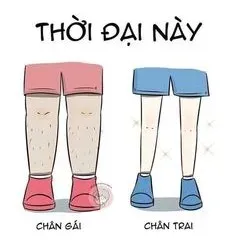 meme cáo từ 17