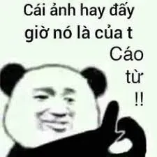 meme cáo từ 32