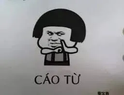 meme cáo từ 33