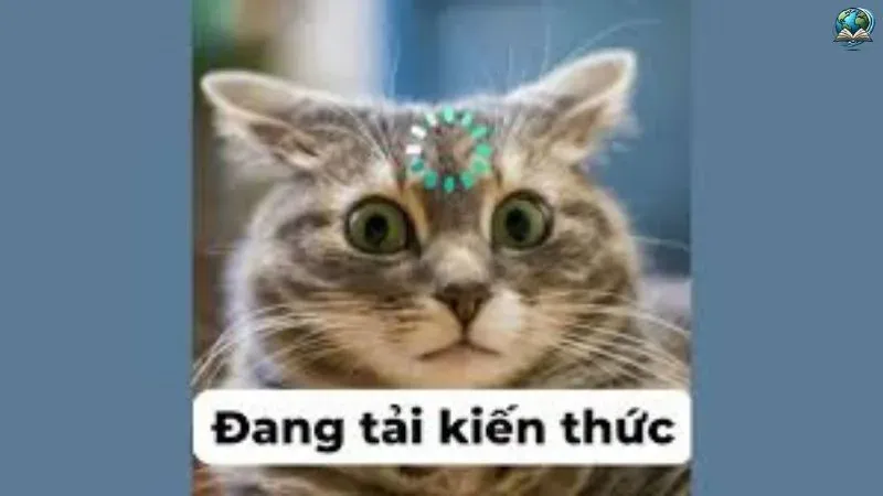 Khám bộ sinh tập ảnh pepe meme hài hước cực chất