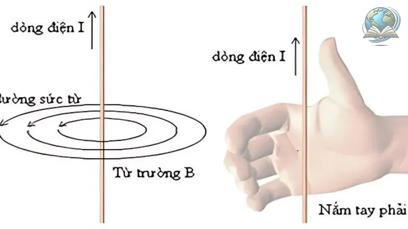 quy tắc nắm tay phải 2