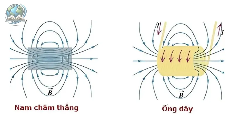 quy tắc nắm tay phải 4