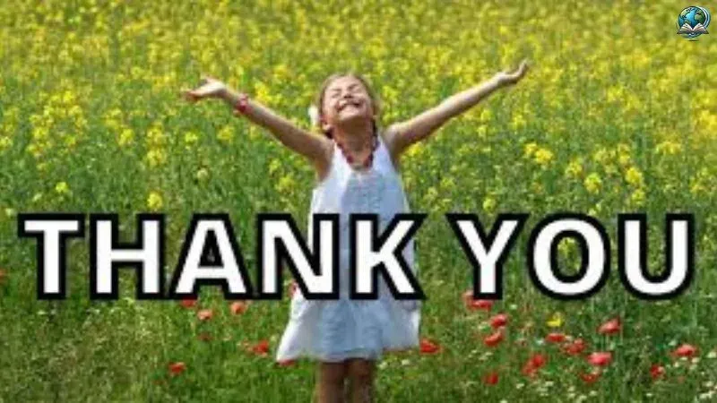 Những ảnh thank you meme hài hước gửi gắm lòng biết ơn