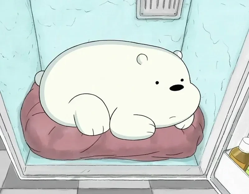 Ảnh gấu trắng ice bear trong nhiều khoảnh khắc dễ thương đáng yêu