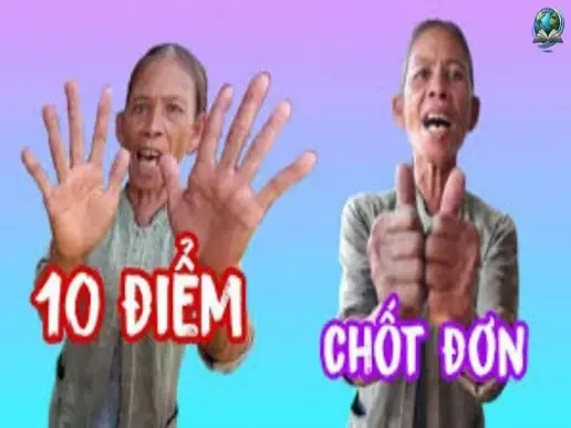 Bộ ảnh 10 điểm meme hài hước để thêm phần sáng tạo