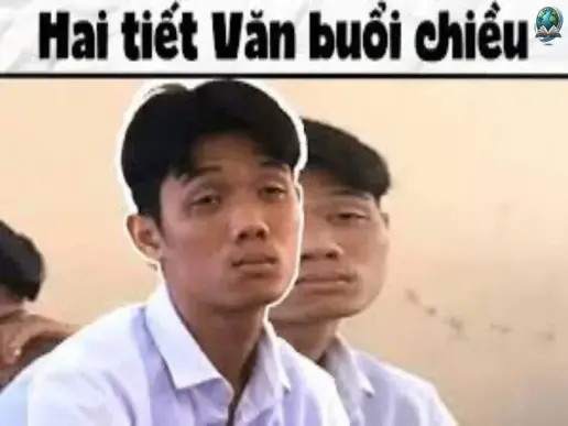 Khám phá bộ sưu tập ảnh meme Việt Nam hài hước và đặc sắc