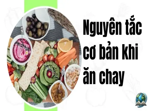 Áp dụng nguyên tắc ăn chay đúng cách - Bí quyết sống khỏe